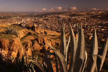 Similar image 20072400