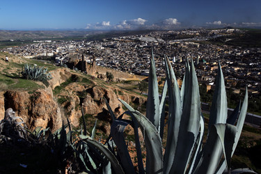 Similar image 20072752