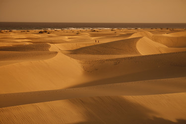 Similar image 20072753