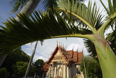 Similar image 20072755