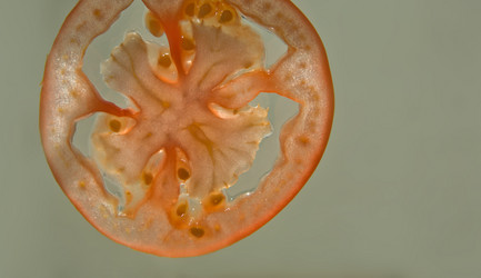 Similar image 20057699