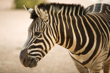 Similar image 20108747