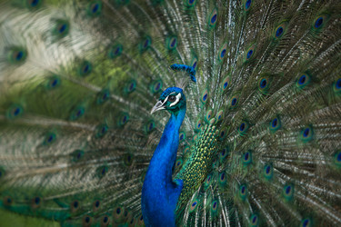 Similar image 20108796