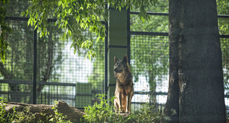 Similar image 20108803