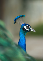 Similar image 20108799