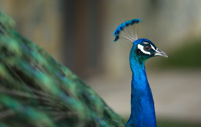 Similar image 20108802