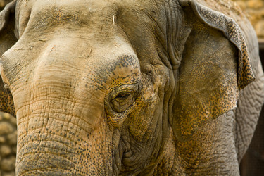 Similar image 20109393