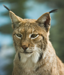 Similar image 20109394