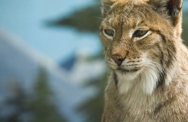 Similar image 20109406