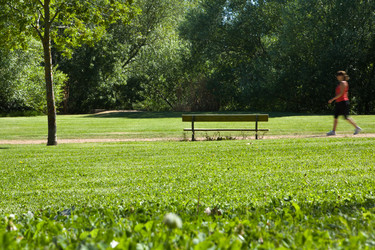 Similar image 20108761