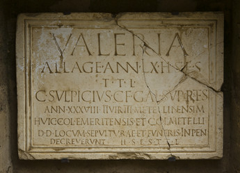 Similar image 20108817