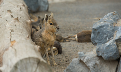 Similar image 20109463