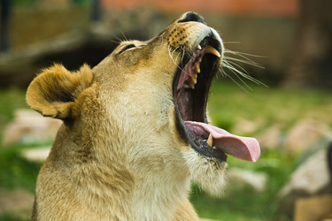 Similar image 20109483