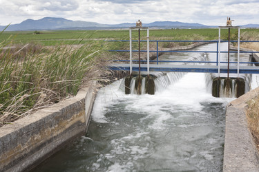 Similar image 20057954