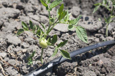 Similar image 20108825