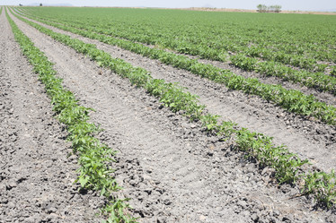 Similar image 20108794