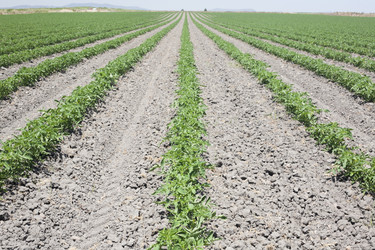 Similar image 20108798