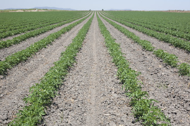 Similar image 20108801