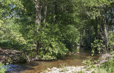 Similar image 20109467