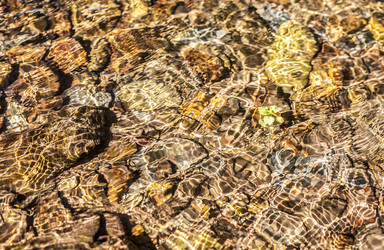 Similar image 20109471