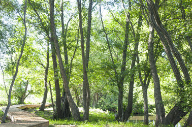 Similar image 20109476