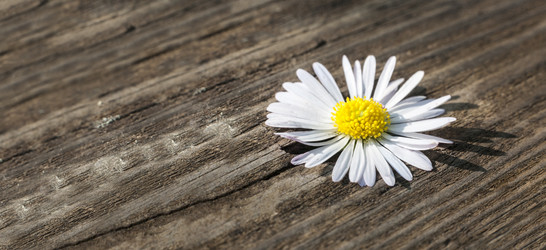 Similar image 20109482