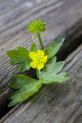 Similar image 20109489