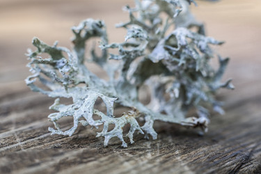 Similar image 20109496