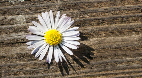 Similar image 20109584