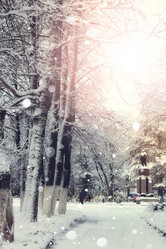 Similar image 20047753