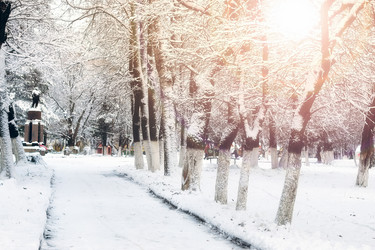 Similar image 20047754