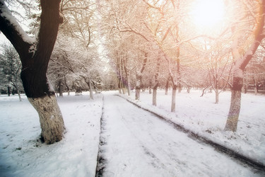 Similar image 20047755