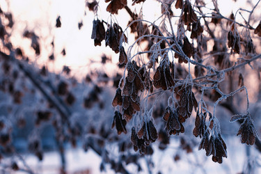 Similar image 20047791