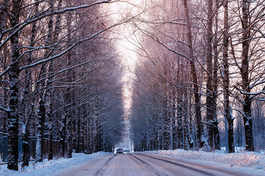 Similar image 20047795