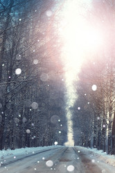 Similar image 20047797