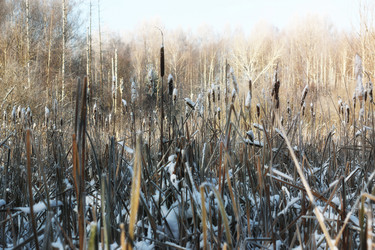 Similar image 20047860