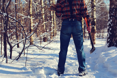 Similar image 20047865