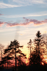 Similar image 20047900