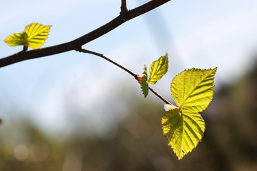 Similar image 20047905