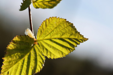 Similar image 20047906