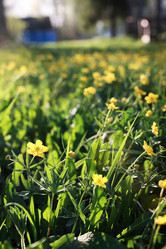 Similar image 20047915