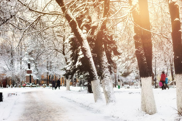 Similar image 20047918