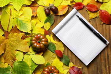 Similar image 20047925