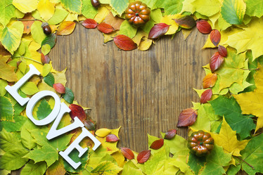 Similar image 20047929