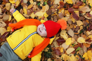 Similar image 20047983