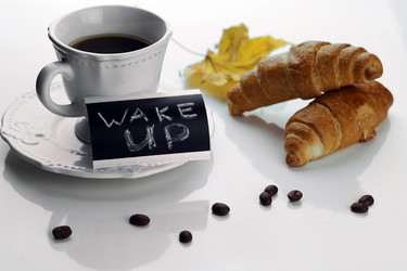 Similar image 20047999