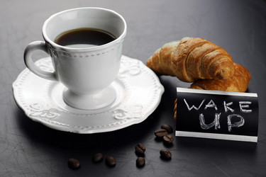 Similar image 20048005