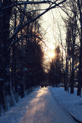 Similar image 20048031