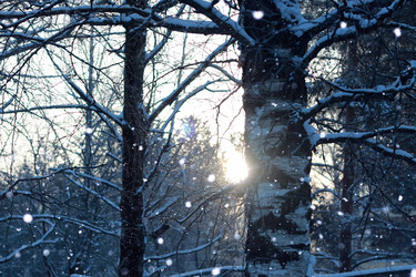 Similar image 20048052