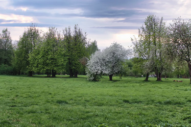 Similar image 20048054